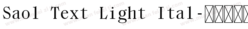 Saol Text Light Ital字体转换